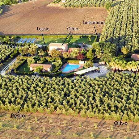 Podere Campi Al Mare Ferienhaus *